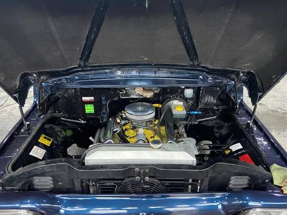 FORD F-100 3.6 SUPER GASOLINA 2P MANUAL